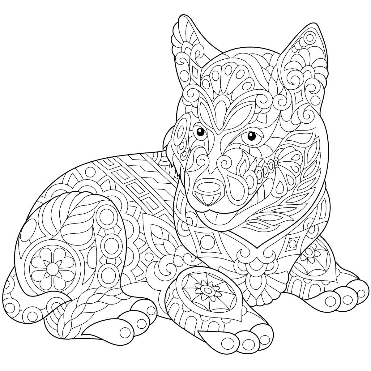 Dog coloring pages free printable coloring pages of dogs for dog lovers of all ages printables mom