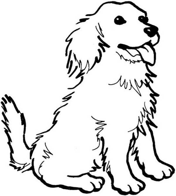 A happy dog coloring page color luna dog coloring book puppy coloring pages farm animal coloring pages