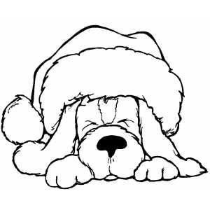 Cute sleeping dog wearing santa hat