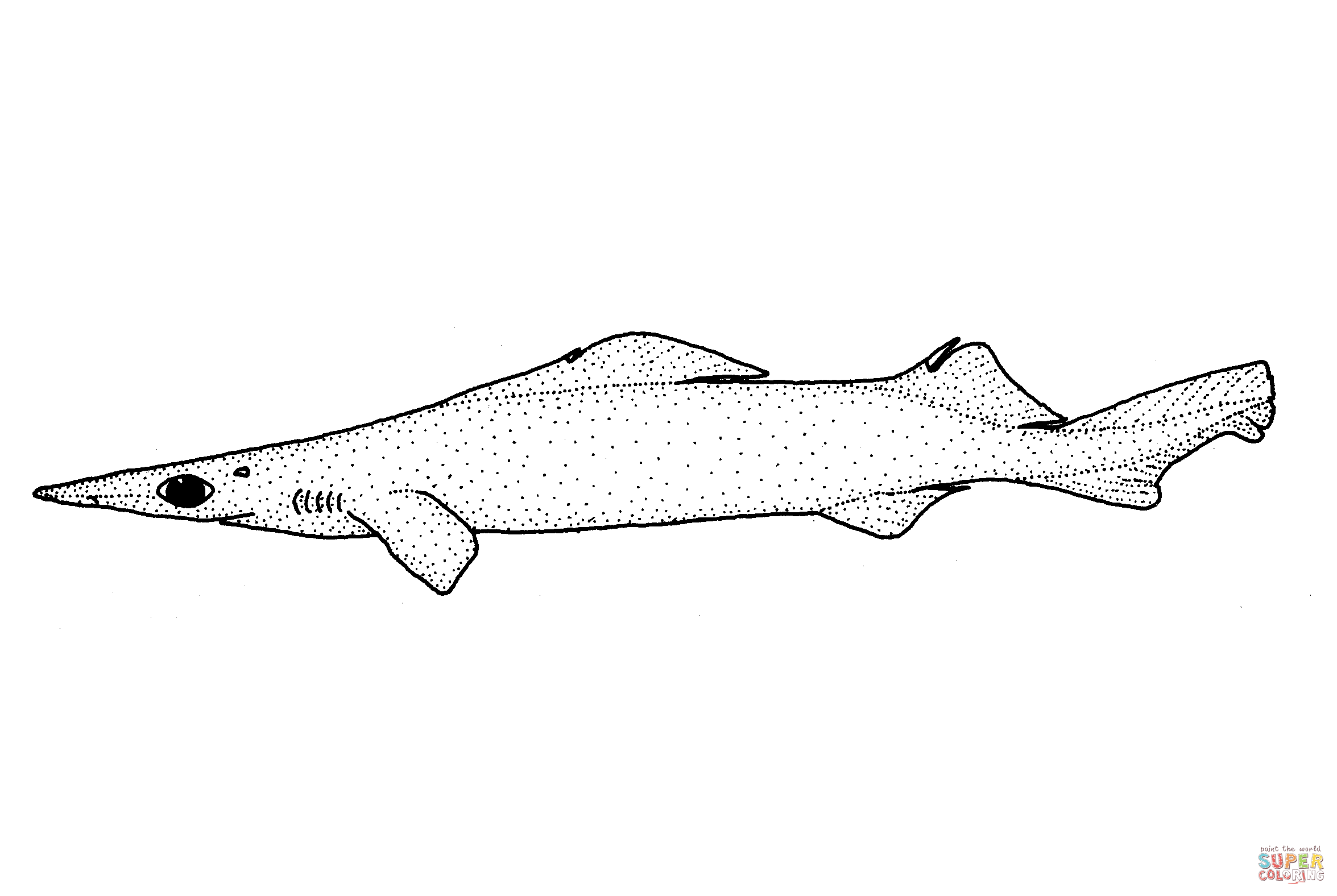 Deania calcea birdbeak dogfish coloring page free printable coloring pages