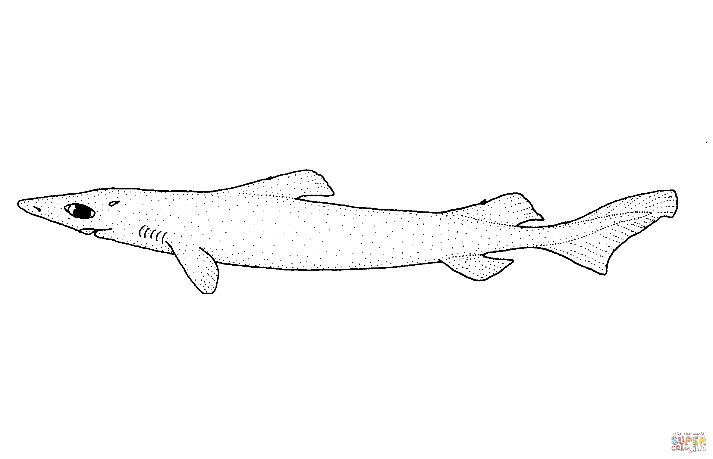 Centroselachus crepidater longnose velvet dogfish coloring page free printable coloring pages