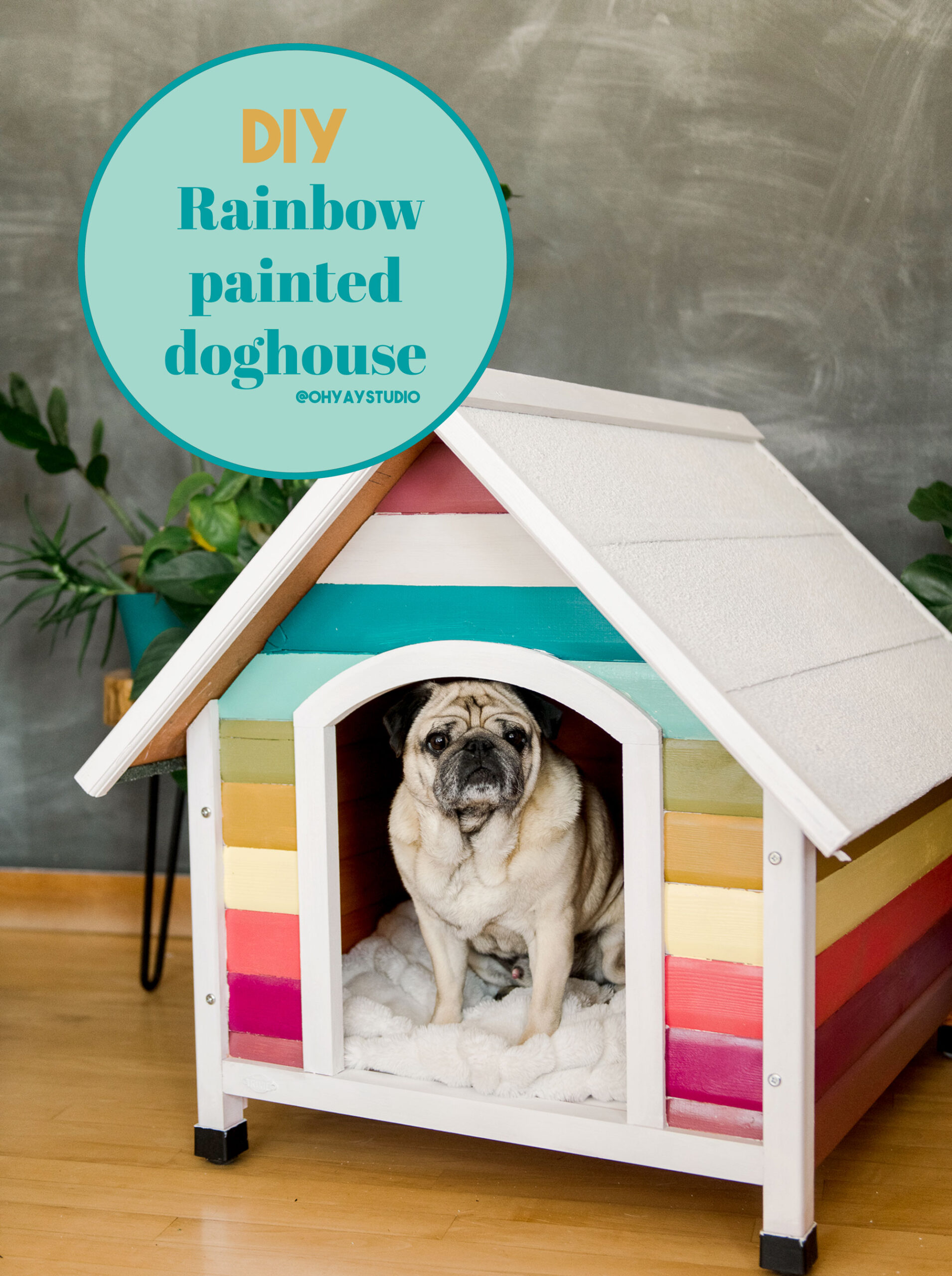 The most colorful dog house â oh yay studio â color painting making everyday celebrating