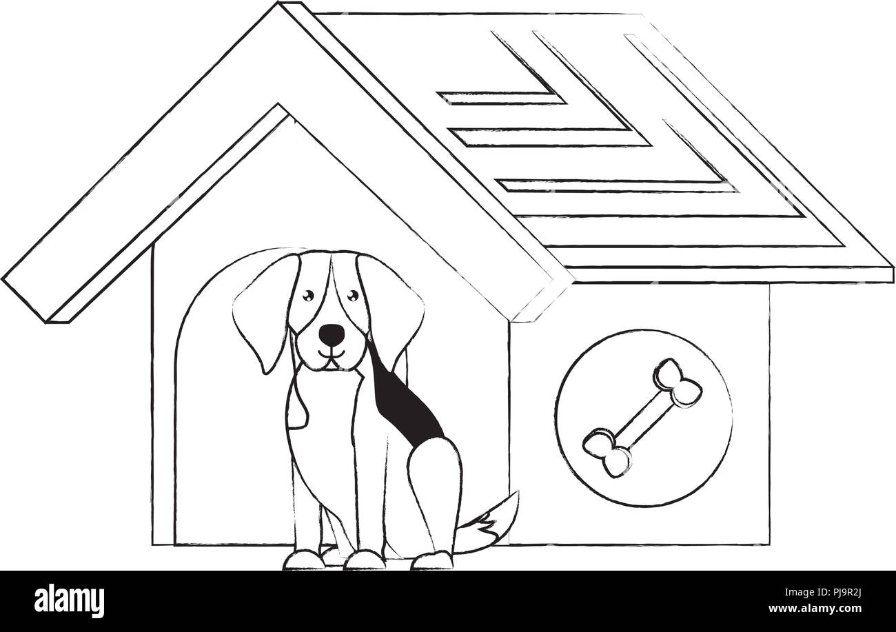 Dog house with cute beagle icon over white background vector illustration stock vector image art