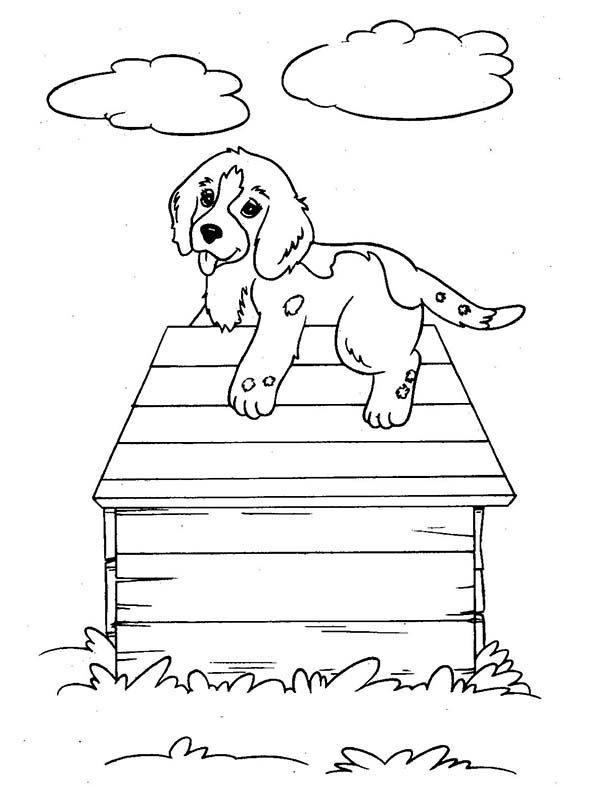 Puppy dog climb up a dog house coloring page color luna dog coloring page dog coloring book dog pictures to color