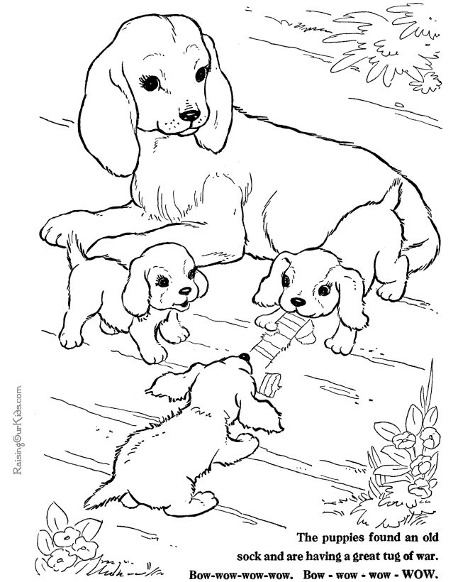 Dog coloring pages