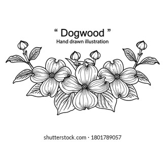 Dogwood royalty