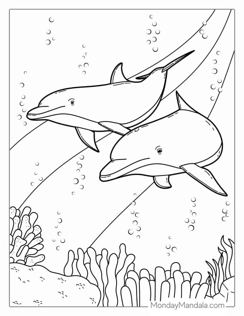 Dolphin coloring pages free pdf printables