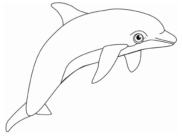 Free printable dolphin coloring pages for kids animal coloring pages dolphin coloring pages whale coloring pages