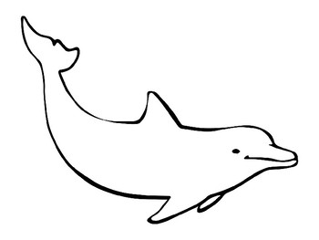 Dolphin templates dolphin coloring pages dolphin outlines dolphin bulletin board