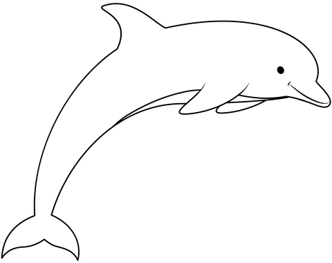 Dolphin coloring page free printable coloring pages