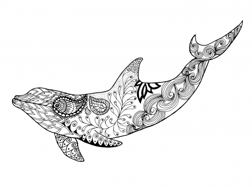 Dolphin coloring page