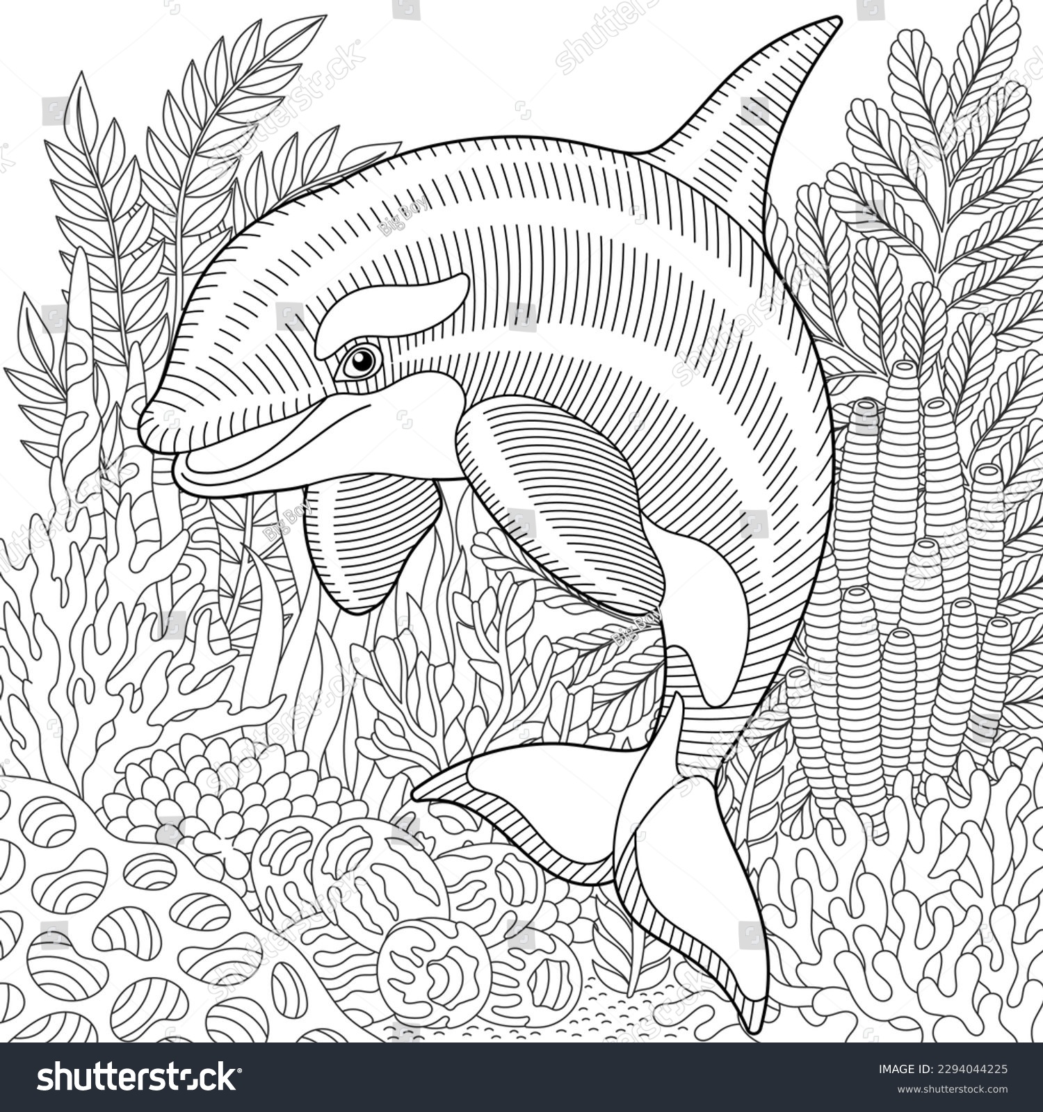 Adult coloring book dolphin images stock photos d objects vectors