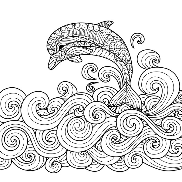 Adult coloring book dolphin images stock photos d objects vectors