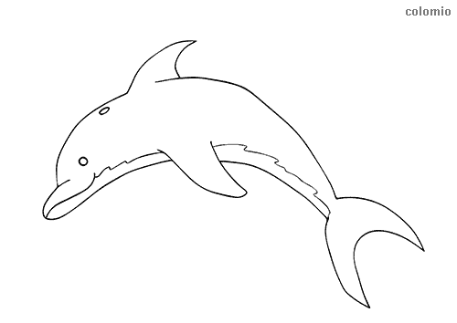 Dolphins coloring pages free printable dolphin coloring sheets