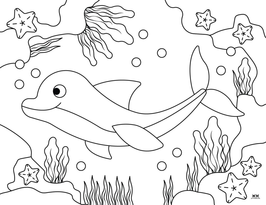 Dolphin coloring pages templates