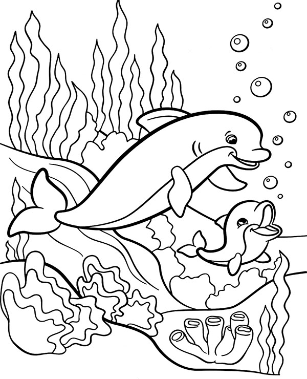 Printable dolphins coloring page for children