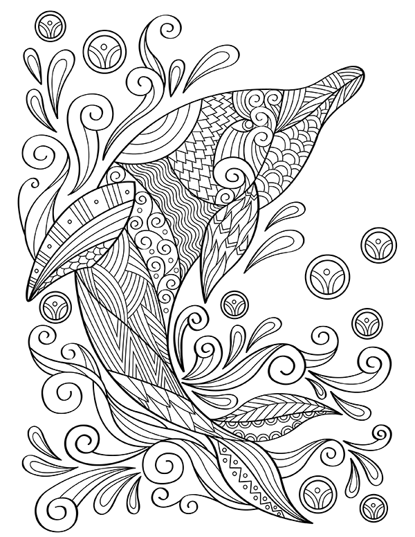 Printable dolphin mandala adult coloring page