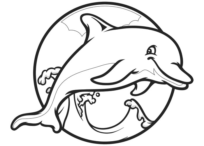 Dolphin