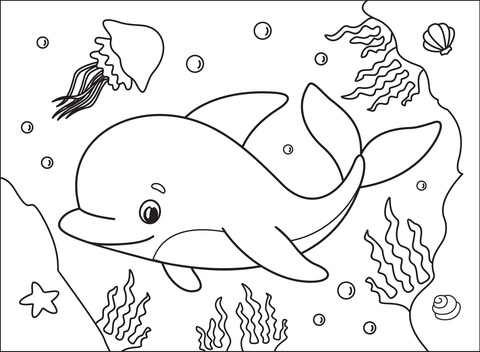 Dolphin coloring page free printable coloring pages