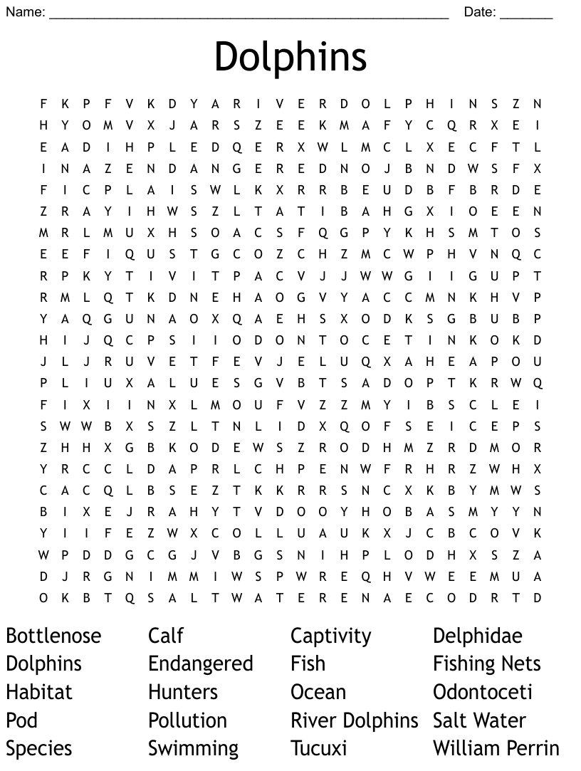 Dolphins word search