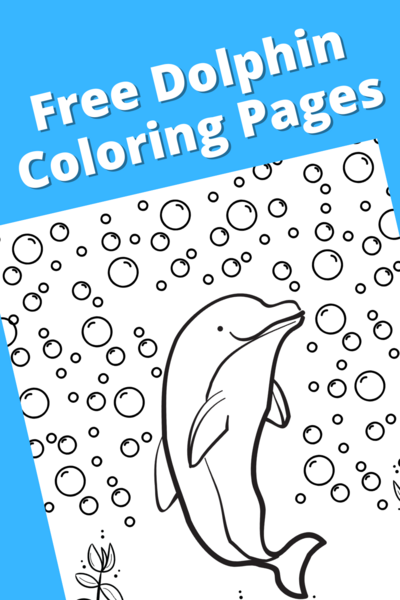 Free printable dolphin coloring pages