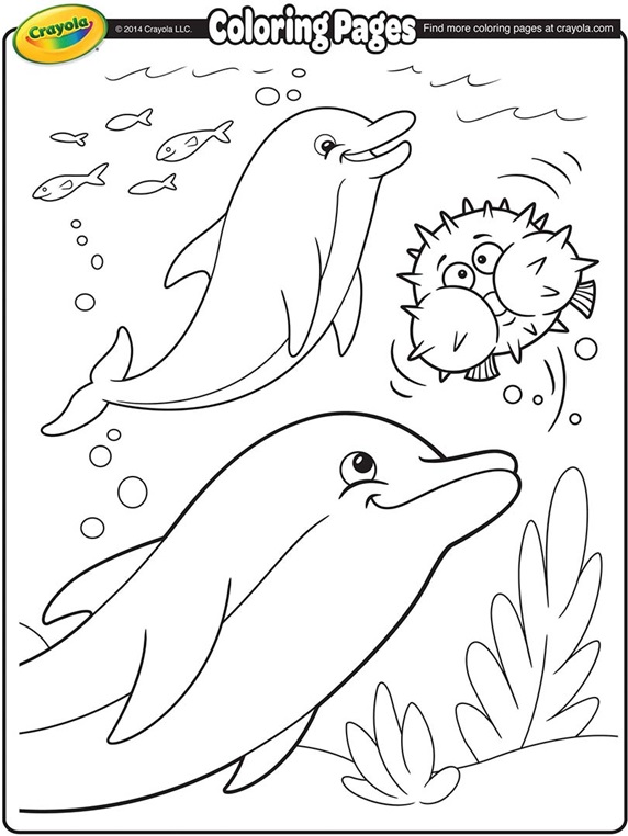 Dolphins coloring page