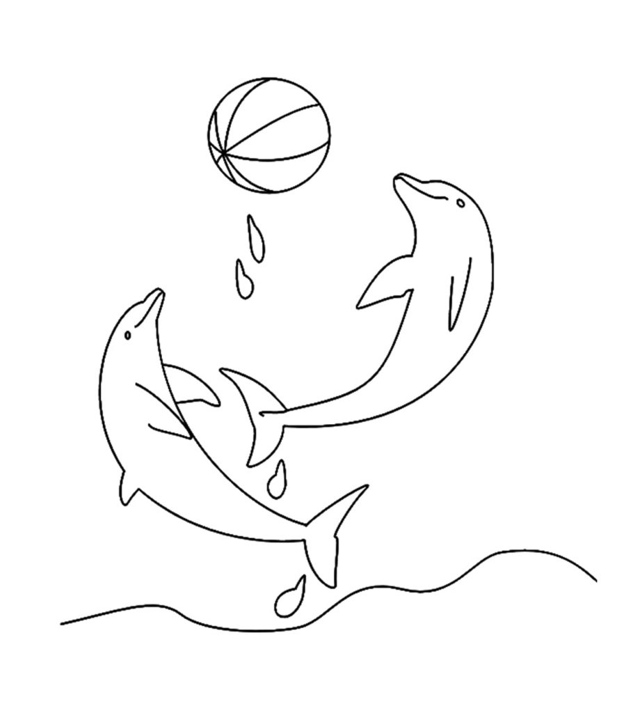 Top free printable dolphin coloring pages online