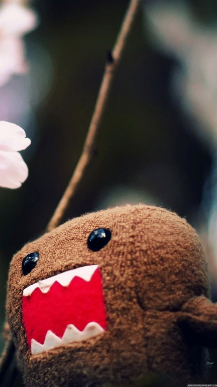 Domo kun funny k hd android and iphone wallpaper background and lockscreen check more at httpsphonewâ iphone wallpaper samsung galaxy wallpaper hd wallpaper