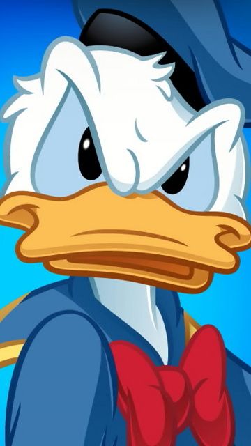 Wallpaper donald bebek eas disney duck disney art donald