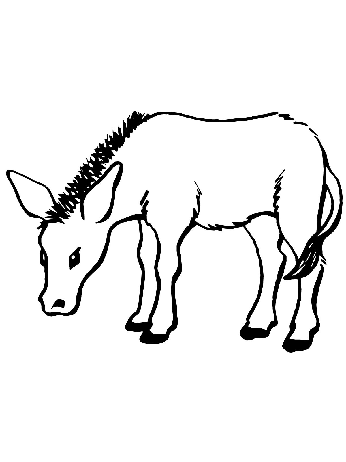 Free printable donkey coloring pages for kids