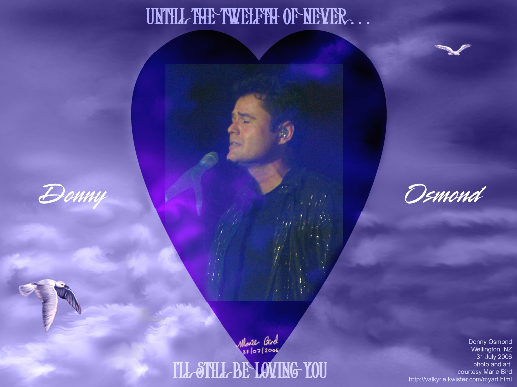 My donny osmond wallpapers and artwork