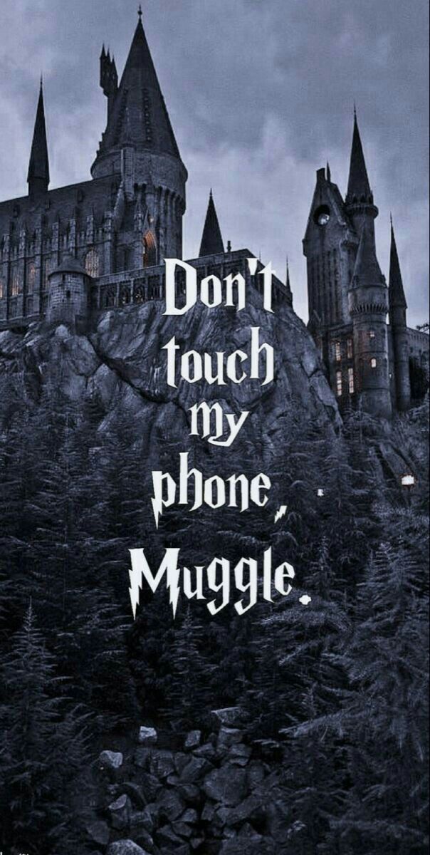 Dont Touch My Laptop Muggle HD wallpaper | Pxfuel