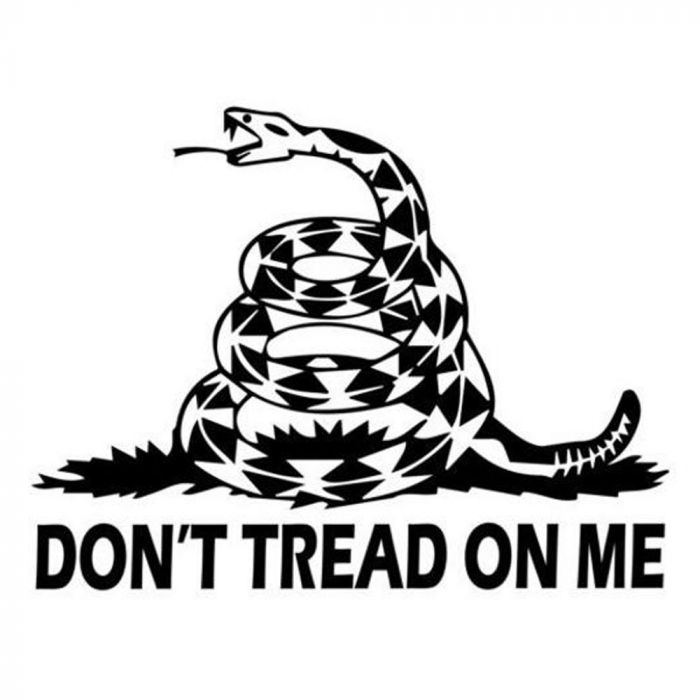 Dont tread on me decal