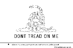 Dont tread on me flag