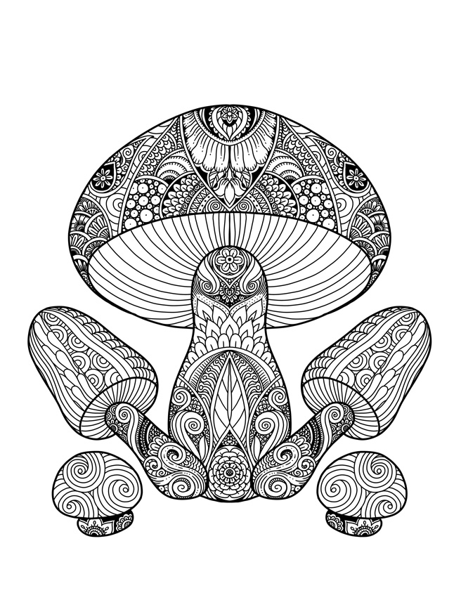 Mushrooms doodle art adult coloring page karyn lewis illustration