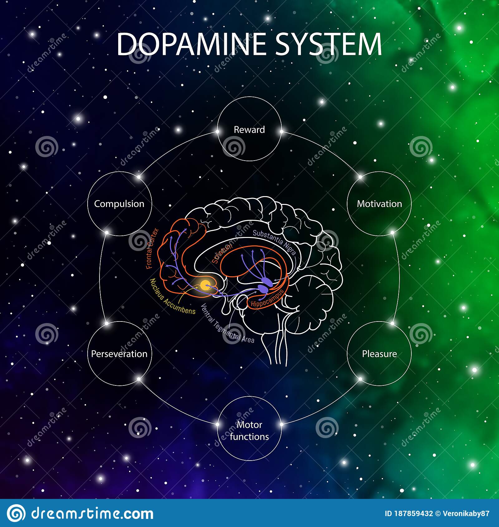 Dopamine stock photos