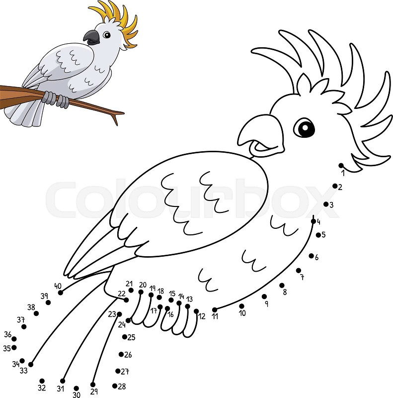 Dot to dot cockatoo animal coloring page for kids stock vector