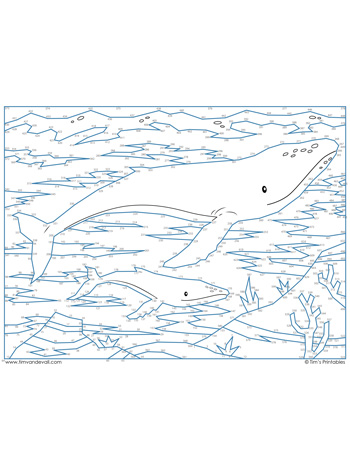 Humpback whale dot