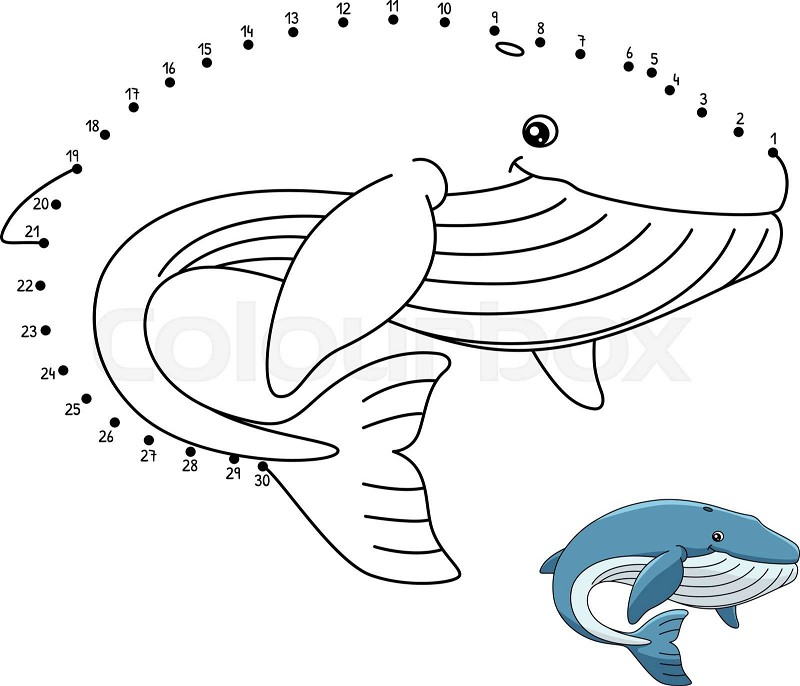 Dot to dot blue whale coloring page for kids stock vector