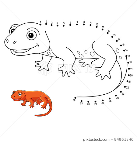 Dot to dot newt animal isolated coloring page