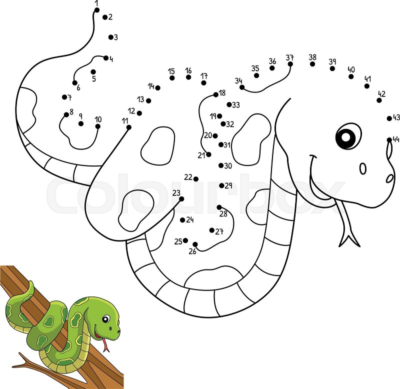 Dot to dot snake animal coloring page for kids stock vector