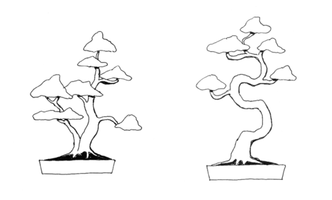 Bonsai double