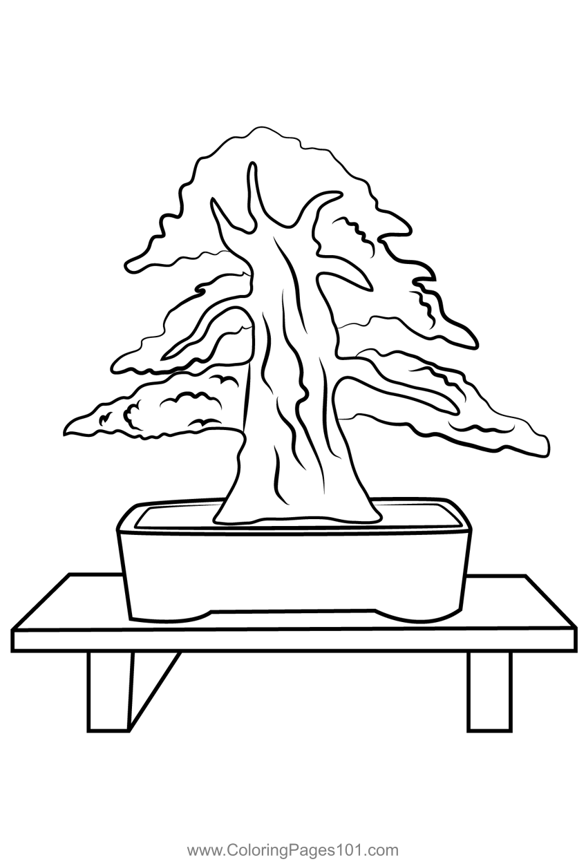 New bonsai tree coloring page tree coloring page coloring pages bonsai tree