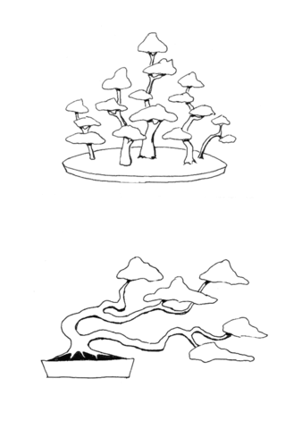 Bonsai forestgroup style bonsai windswept style coloring page free printable coloring pages