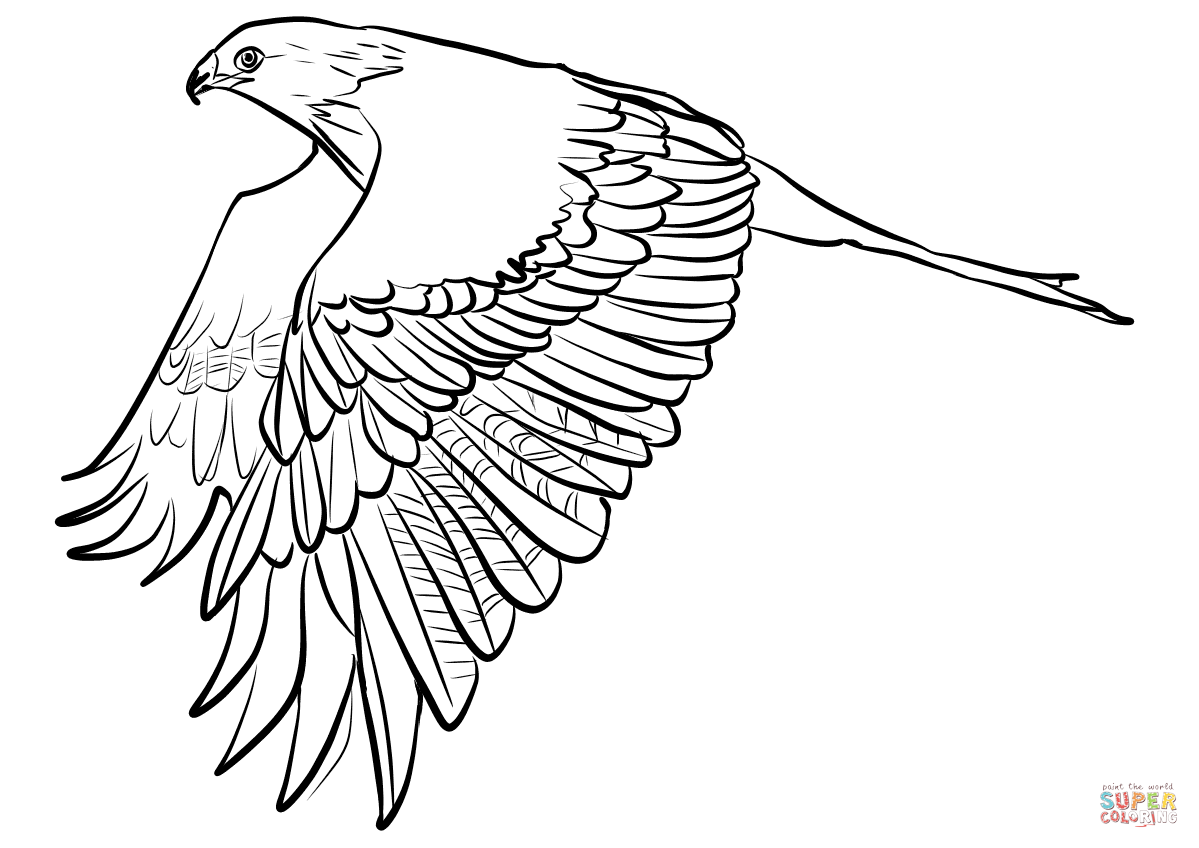 Red kite coloring page free printable coloring pages