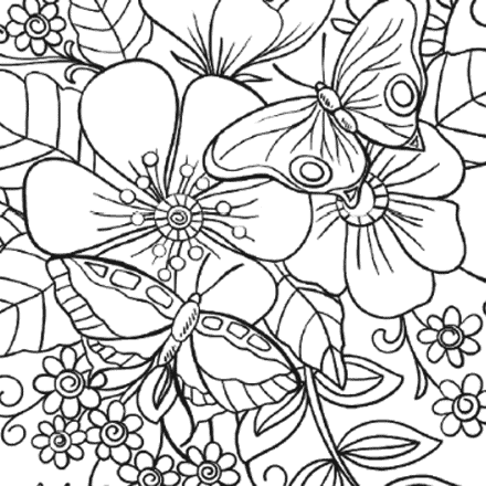 Butterfly coloring sheets