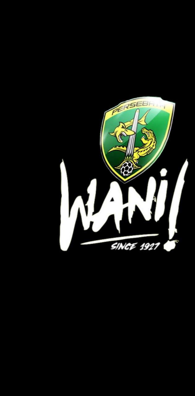 Persebaya wallpaper by oniseen