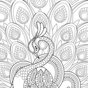 Free printable coloring pages coloring pages free adult coloring pages coloring pages to print