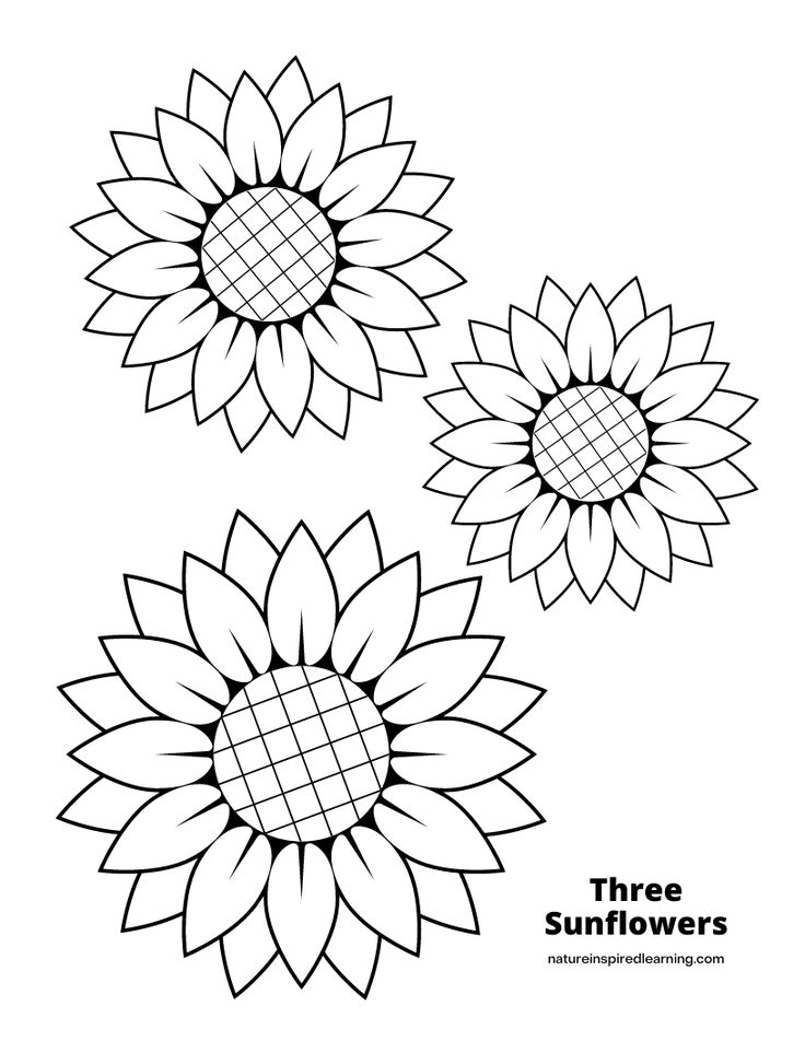 Printable sunflower templates sunflower coloring pages summer coloring pages sunflower template