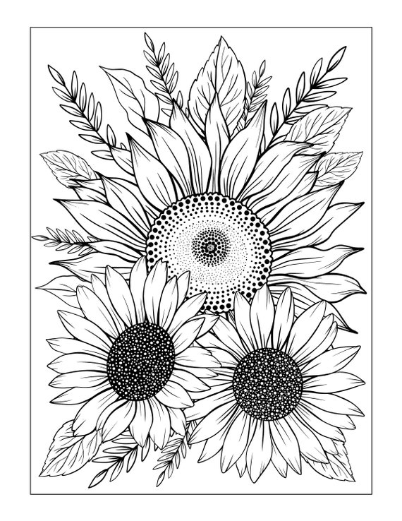 Sunflower sunflower colouring sheet sunflower coloring download colouring colour therapy